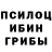 Псилоцибиновые грибы GOLDEN TEACHER Gabriel Sartori