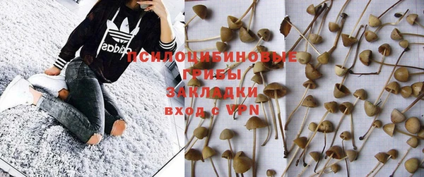 каннабис Дмитриев