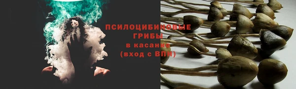 герыч Дмитровск