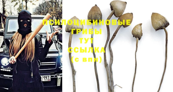 каннабис Дмитриев